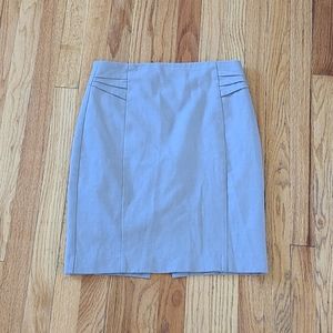 Express Pencil Skirt